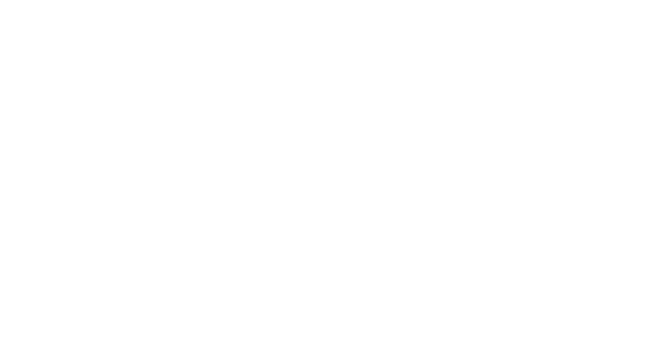 marca reborn
